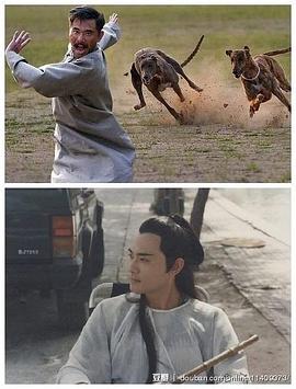 赵文瑄