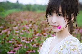 袁菲