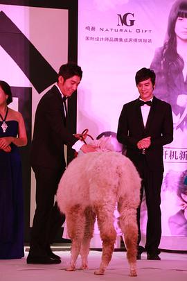 张博