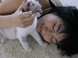 佐藤宽子