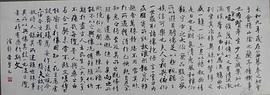 徐静蕾