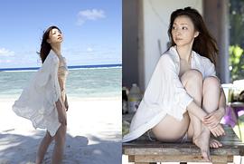 白羽由里