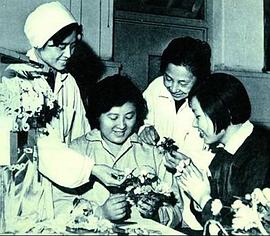 杨丽坤