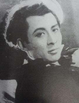 赵丹