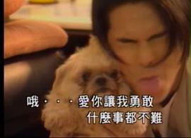 杜德伟