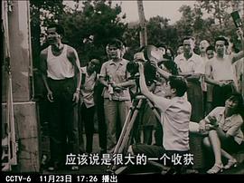 陆小雅