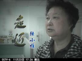 陆小雅