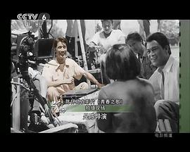 陈怀皑