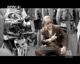 陈怀皑