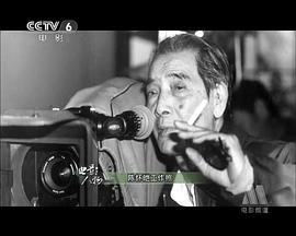 陈怀皑