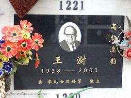 王澍