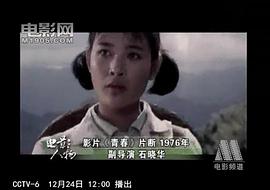 石晓华