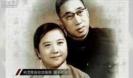 柯灵