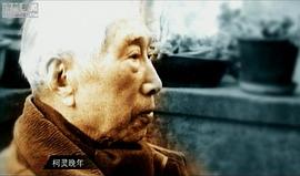 柯灵