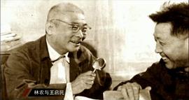 林农