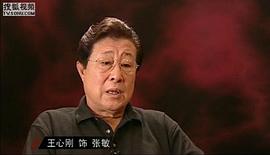 王心刚