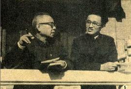 鲁韧