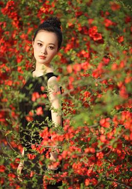 战菁一