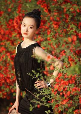 战菁一