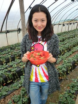 杨菲洋