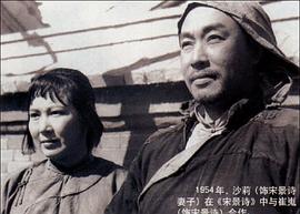 沙莉