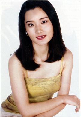 何赛飞