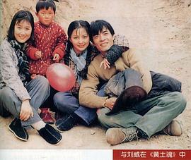 刘丹
