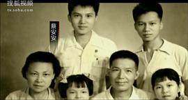 蔡安安