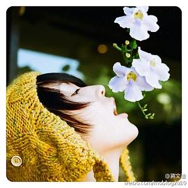 蒋雅文