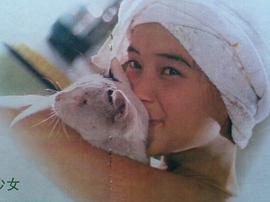 刘禹