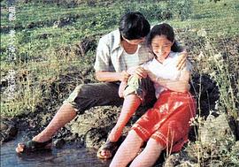 盖丽丽