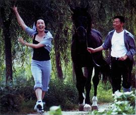 蒋雯丽
