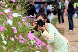 钱芳