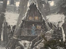 朱莉·克里斯蒂