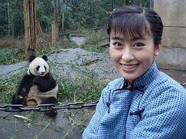 法提麦·雅琦