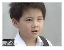 丁力