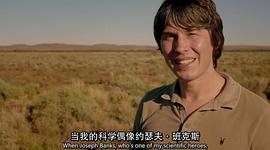 布莱恩·考克斯