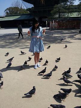 田岛芽瑠