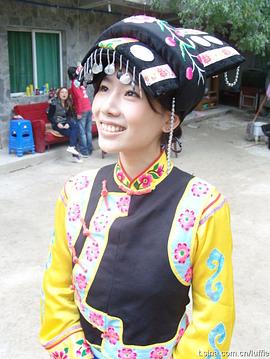 芦菲