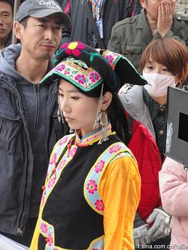 芦菲