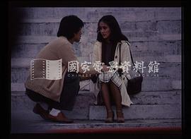 应采灵