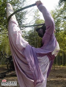 孙菲菲