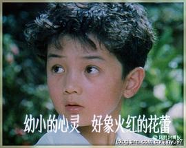 杨通