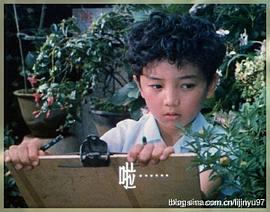 杨通