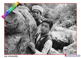 杨通