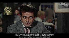 斯图尔特·惠特曼