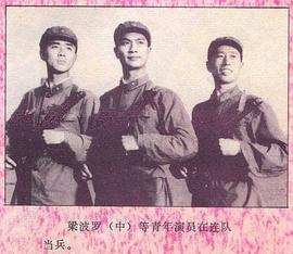 梁波罗