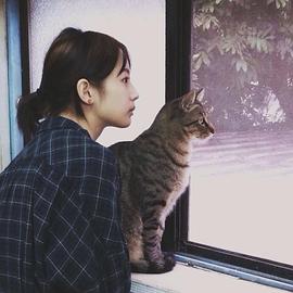 简嫚书