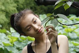 杨叙辰