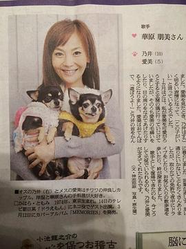 华原朋美